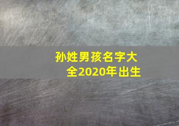 孙姓男孩名字大全2020年出生