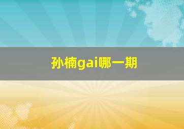 孙楠gai哪一期