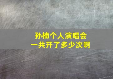 孙楠个人演唱会一共开了多少次啊