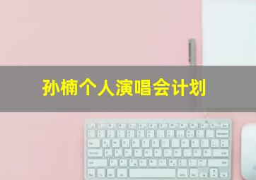 孙楠个人演唱会计划