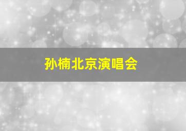 孙楠北京演唱会