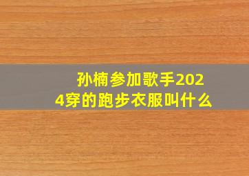 孙楠参加歌手2024穿的跑步衣服叫什么