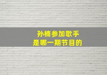 孙楠参加歌手是哪一期节目的