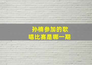 孙楠参加的歌唱比赛是哪一期