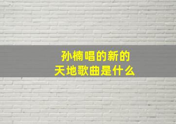 孙楠唱的新的天地歌曲是什么