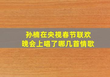 孙楠在央视春节联欢晚会上唱了哪几首情歌