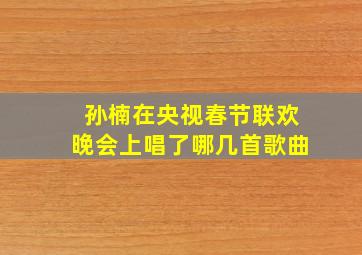 孙楠在央视春节联欢晚会上唱了哪几首歌曲