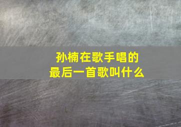 孙楠在歌手唱的最后一首歌叫什么