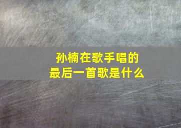 孙楠在歌手唱的最后一首歌是什么