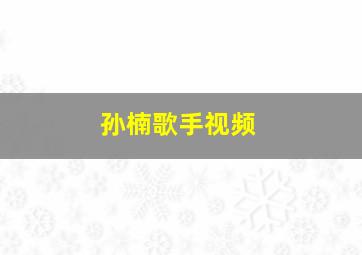 孙楠歌手视频