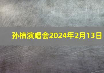 孙楠演唱会2024年2月13日