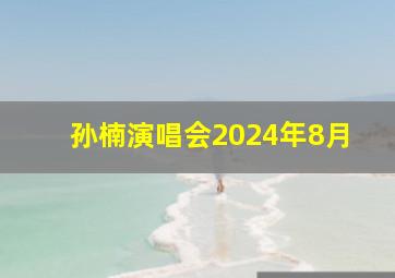 孙楠演唱会2024年8月