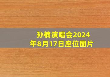 孙楠演唱会2024年8月17日座位图片