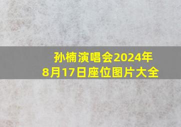 孙楠演唱会2024年8月17日座位图片大全