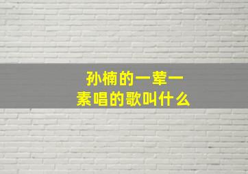 孙楠的一荤一素唱的歌叫什么