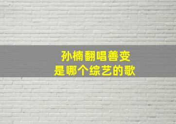 孙楠翻唱善变是哪个综艺的歌