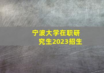 宁波大学在职研究生2023招生