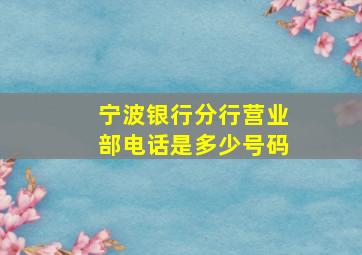 宁波银行分行营业部电话是多少号码