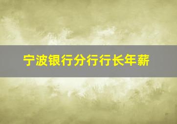 宁波银行分行行长年薪