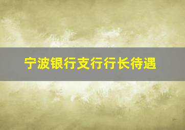 宁波银行支行行长待遇