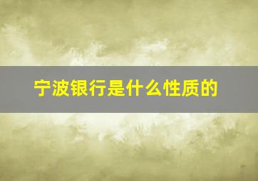 宁波银行是什么性质的