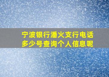 宁波银行潘火支行电话多少号查询个人信息呢