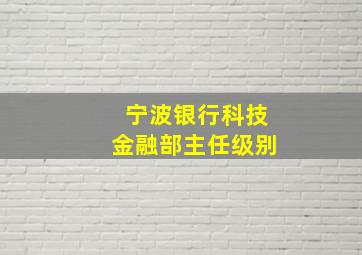 宁波银行科技金融部主任级别