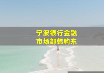 宁波银行金融市场部韩驹东