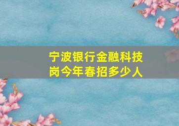 宁波银行金融科技岗今年春招多少人