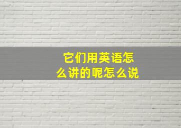 它们用英语怎么讲的呢怎么说