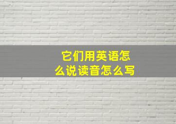 它们用英语怎么说读音怎么写