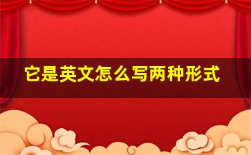 它是英文怎么写两种形式