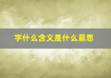 宇什么含义是什么意思