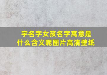 宇名字女孩名字寓意是什么含义呢图片高清壁纸