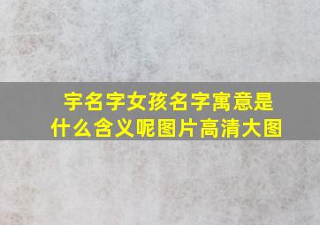 宇名字女孩名字寓意是什么含义呢图片高清大图