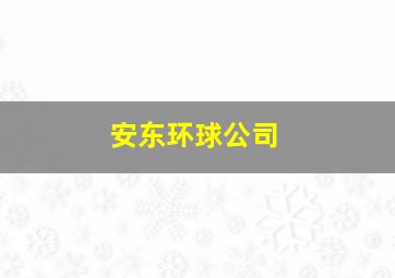 安东环球公司