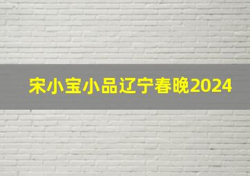 宋小宝小品辽宁春晚2024