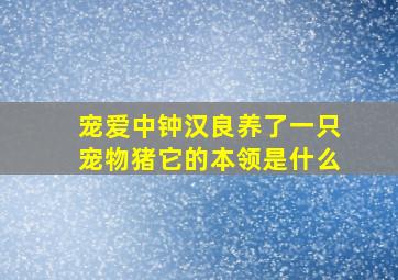 宠爱中钟汉良养了一只宠物猪它的本领是什么