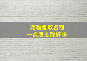 宠物兔取名萌一点怎么取好听