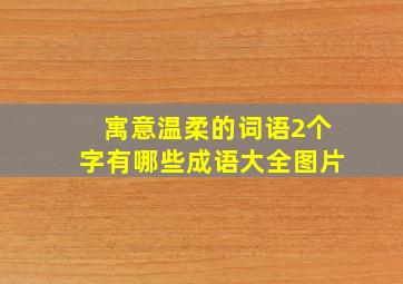 寓意温柔的词语2个字有哪些成语大全图片