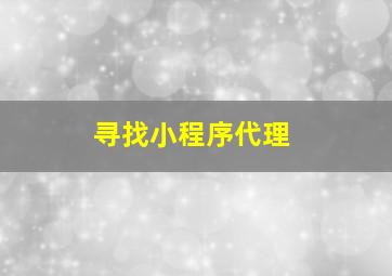 寻找小程序代理