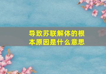 导致苏联解体的根本原因是什么意思