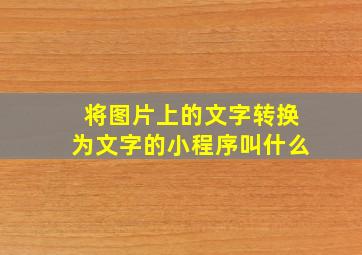 将图片上的文字转换为文字的小程序叫什么