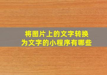 将图片上的文字转换为文字的小程序有哪些