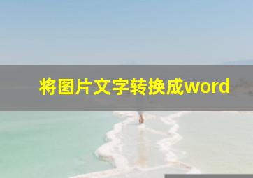 将图片文字转换成word