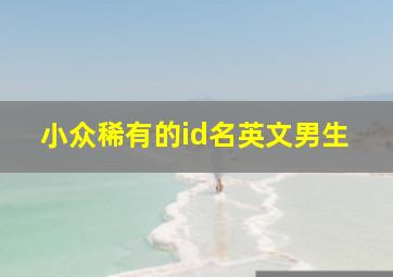 小众稀有的id名英文男生