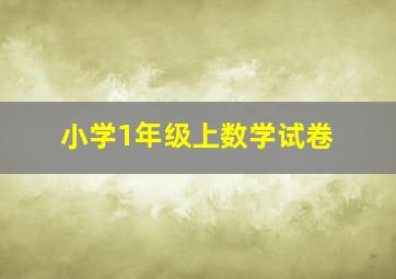 小学1年级上数学试卷