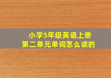 小学5年级英语上册第二单元单词怎么读的