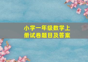 小学一年级数学上册试卷题目及答案