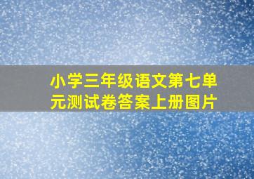 小学三年级语文第七单元测试卷答案上册图片